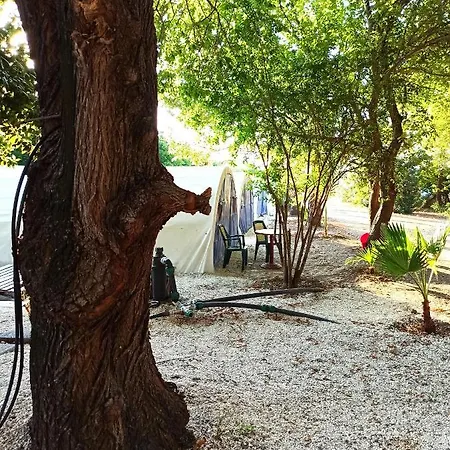 222camping Camping